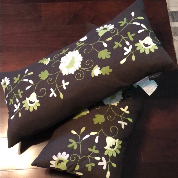 Luxe Habitat Accents 2 Pillows With With Down Filling Poshmark